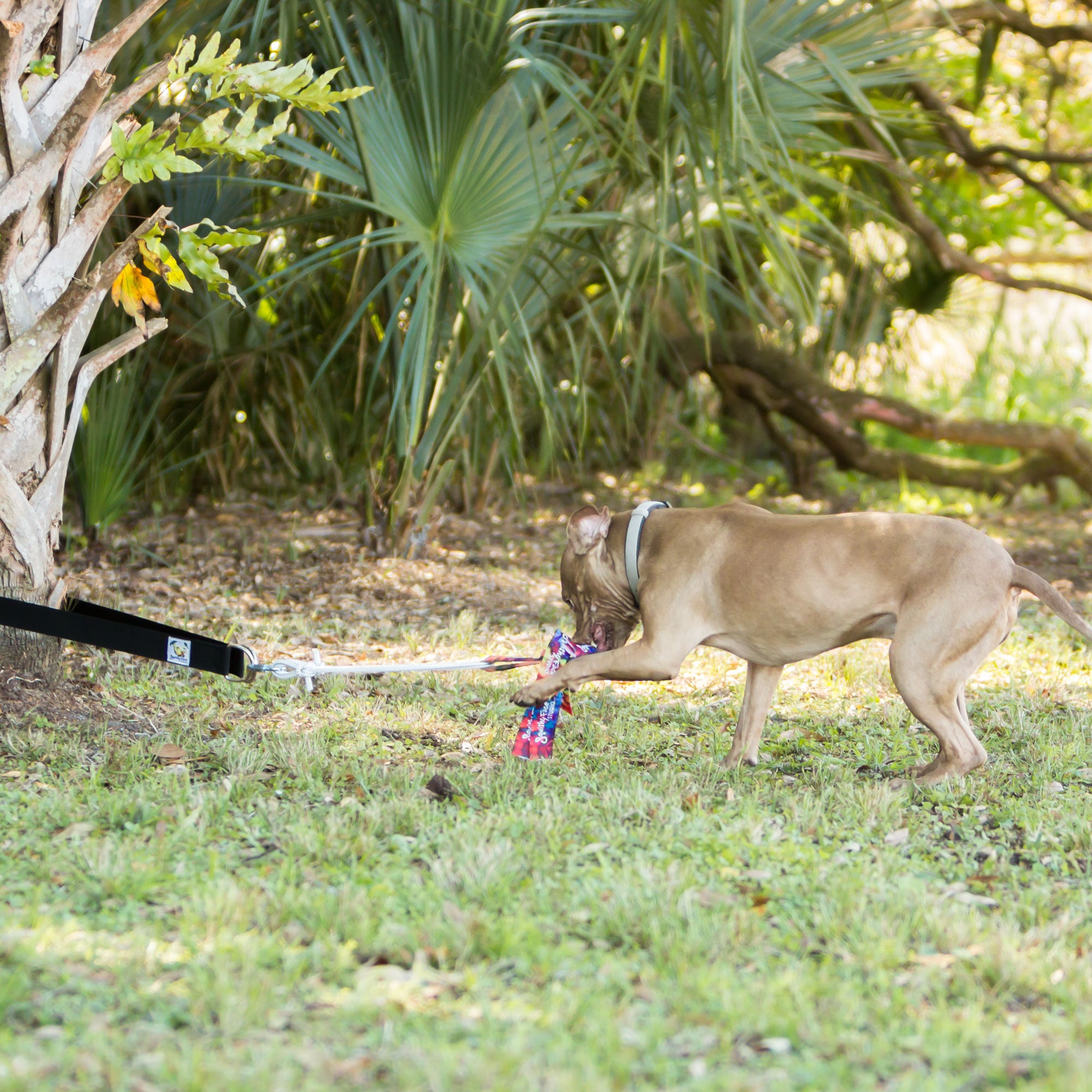 Heavy-Duty Dog Tug Toy - Durable Interactive Tug of War Toy for Large Dogs & Strong Chewers, Safe & Long-Lasting
